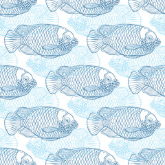 Blue angel fish. Colored hand drawn outlines on white.  Stylish seamless pattern on marine theme. Perfect for design templates, wallpaper, wrapping, fabric, print and textile. 