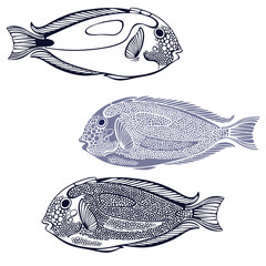 Blue surgeon fish. Hand drawn vector illustration, 3 isolated  elements on white background. Perfect for menu decoration, invitation, card, poster and as a design element.