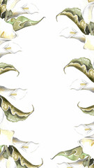 Wedding flowers. Watercolor social media story template. Frame of leaves and flowers and white calla buds. Hand drawn illustration on white background for cards, invitations