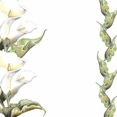 Wedding flowers. Watercolor square composition with a frame of white calla lilies with green leaves. Hand drawn image on a white background for use in social networks and design of invitations, cards