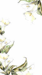 Wedding flowers. Watercolor template for social media stories. Frame of green leaves and white calla lilies. Hand drawn illustration on white background for cards and invitations.