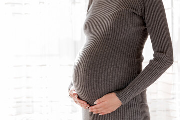 Pretty young pregnant woman standing by the window in home