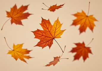 Fototapeta premium Colorful autumn maple leaves falling gracefully on a warm background, a vibrant season of change