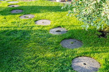 Garden path made of circular stepping stones placed in a row on a lush green lawn. The grass is...