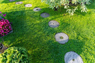 Garden path made of circular stepping stones placed in a row on a lush green lawn. The grass is...
