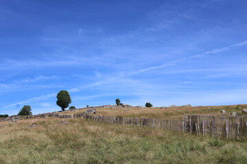 Paysage rural de l Aubrac
