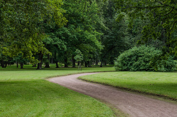 The curve path in the park
