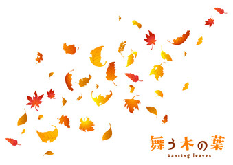 舞う木の葉2