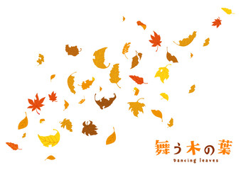 舞う木の葉3