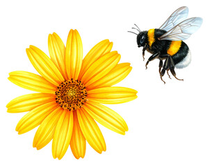 A vibrant summer field of bright yellow sunflowers and white daisies blossoms under the sun, with a busy bee collecting pollen