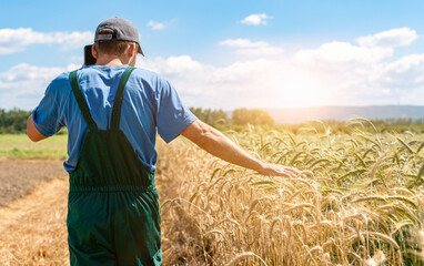 Agricultural worker touching plants and making phone call in field