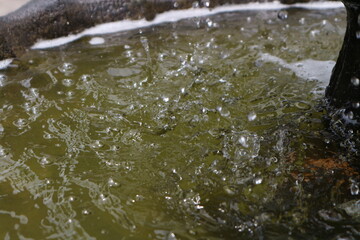 Close-up of water with bubbles and ripples, possibly from a fountain or water feature, showing movement and surface tension.