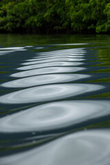 Abstract image of green river water reflecting dense forest vegetation, forming surreal, wave-like ripples.