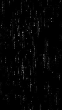 Loop animation of a white random digital data matrix of binary code numbers isolated on a black background. Seamless motion background for technology, coding, science, cyberspace, or UI concept