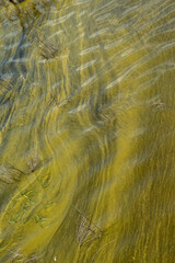 Sandy, greenish shimmering bottom in a lake as background