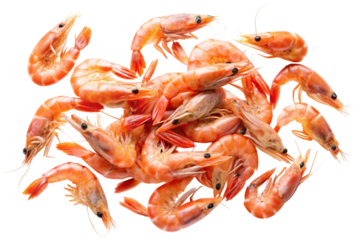 Falling shrimps isolated on white background
