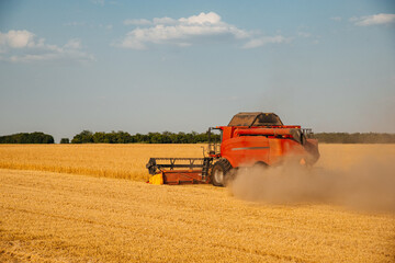 a combine harvester is harvesting wheat in a field at sunset