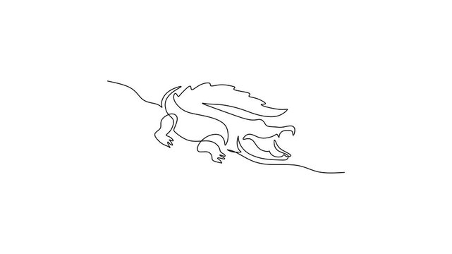 Wild crocodile, Self drawing one line animation, Alligator reptile predator concept.