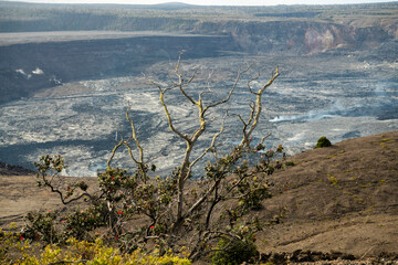 View of Hawaiʻi Volcanoes National Park on the Big Island, highlighting the rugged terrain and...