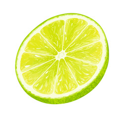 Vibrant lime slice illustration showcasing its juicy segments, bright green peel, and refreshing citrus texture against a white backdrop, perfect for summer themes.