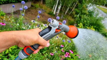 Gardener working in the garden watering flowers, hand holding a hose with water watering the...