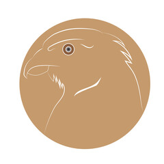 illustration of a cartoon eagle