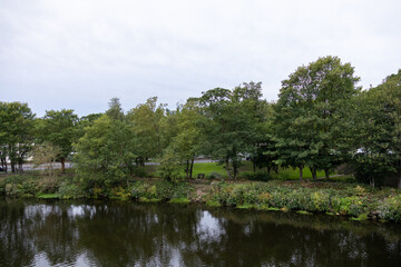 Tree-lined riverbank reflected in calm water, with a grassy park area and walking path partially visible through the trees