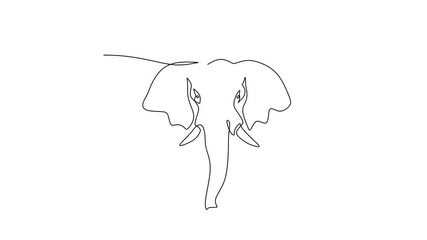 Elephant head, Self drawing one line animation, Wild safari animal and wisdom concept.