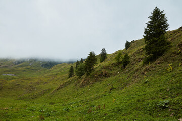 Lush green mountain slopes dotted with fir trees and a distant lodge, shrouded in low-hanging...