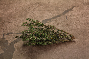 Fresh green Thyme branch isolated