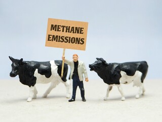 Mini toy of action figure at outdoor with blurred background. Business photography concept design. Minifigure of farmer character hold METHANE EMISSIONS poster banner with cow at farmland.