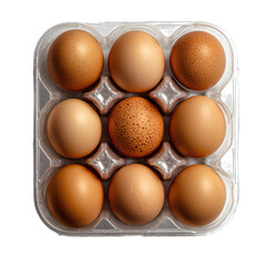 Fresh Brown Eggs in a Clear Plastic Container on White Background Perfect for Cooking and Baking Recipes