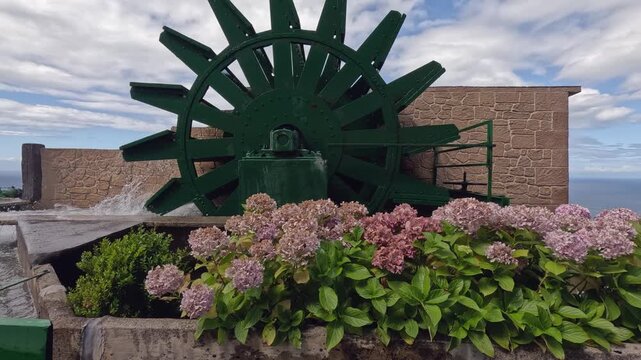 Pink Hydrangea blossoms blow in breeze beside small water wheel