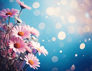 Obraz premium Soft pink daisies with gentle bokeh lights on a dreamy blue background jpg
