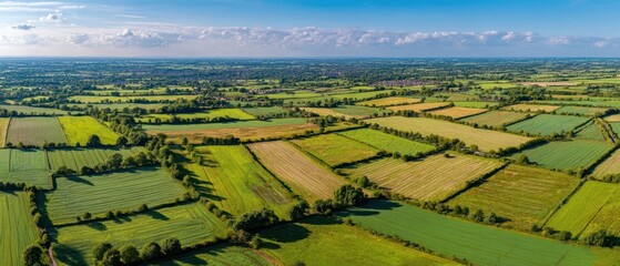 The expansive green fields showcasing vibrant agriculture under a clear blue sky.