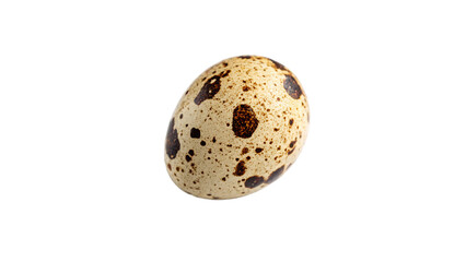 Quail egg with unique spotted pattern and natural on a transparent background.