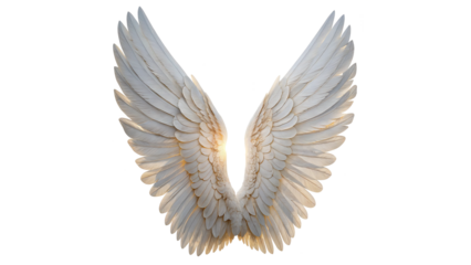 glowing white realistic angel wings isolated on transparent background