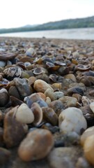 Stones