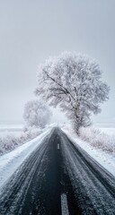 Winter road through frosted trees (1)