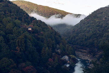First rays of morning light reach forested valley of Arashiyama in Kyoto, Japan, as mist moves...