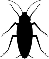 black silhouette of a cockroach
