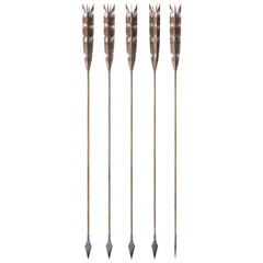 Arrow archery weapon