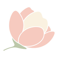 Soft pink and cream flower illustration with green stem