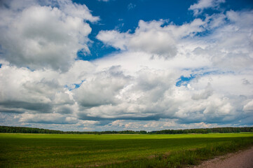 Scenic landscape with fluffy clouds over green field and bright blue sky
