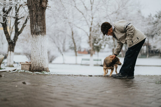 A senior man gently stroking a small dog on a snowy day in a quiet park. The scene reflects care, bonding, and peaceful moments against a winter backdrop. - Powered by Adobe