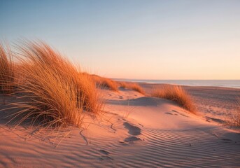 Photo of golden hour light illuminates windswept sand dunes and tall grasses on a serene beach at sunrise or sunset