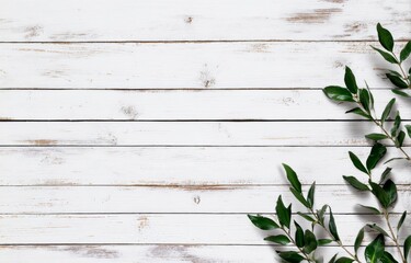 White Wood Background with Green Leaves, Top View