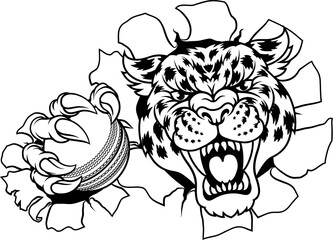 Jaguar Leopard Cheetah Panther Cricket Mascot