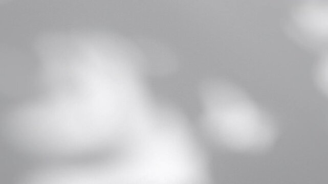 Wall interior background, studio and backdrops show products.with shadow from window color white and grey. background for text insertion and presentation product	
