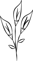 Obraz premium Handdrawn flowers Scribble